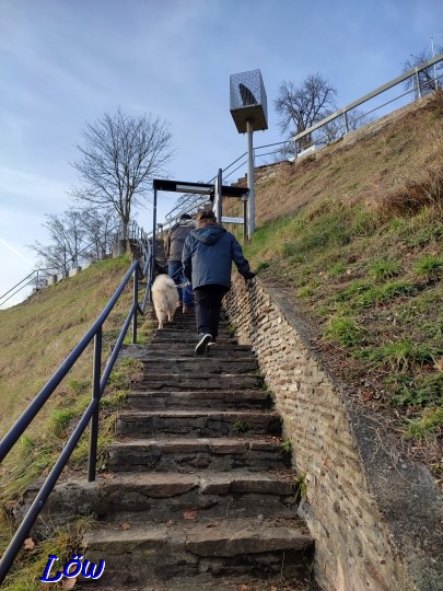 28.12.2023 - Hoch hinaus